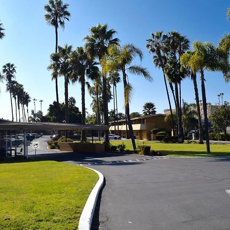 Hotel Palmeras Chula Vista Kültér fotó